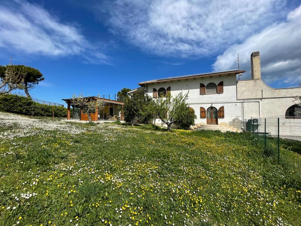 Frapippo Hotel Chieti Bagian luar foto